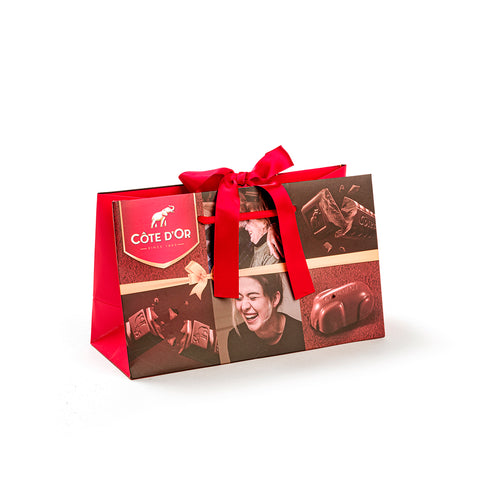 Luxe papieren draagtassen met strik